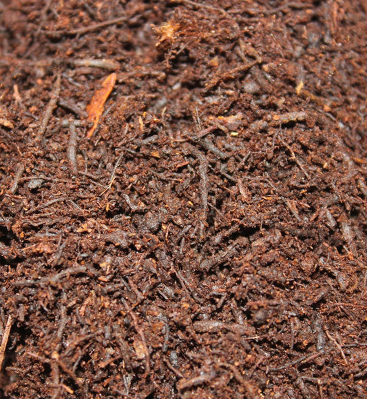 New Zealand Tree Fern Fiber