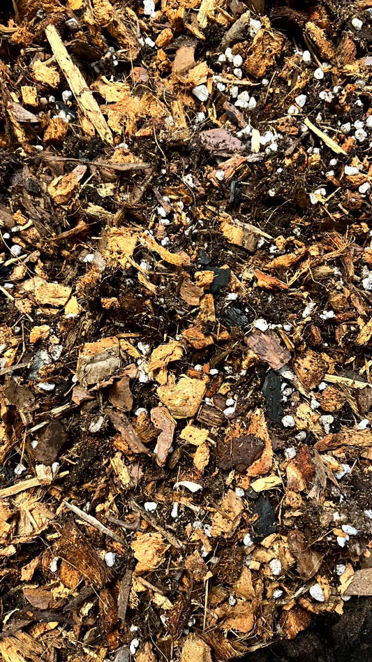 Premium Chunky Aroid Soil Mix