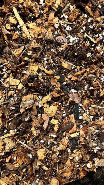 Premium Chunky Aroid Soil Mix